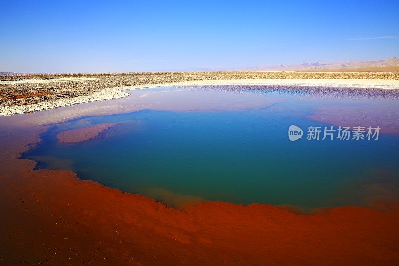 Baltinache的Lagunas escondidas - Baltinache和Atacama salar flats - Turquoise salt lakes mirrored reflection and田诗化的阿塔卡马沙漠，火山景观全景- San Pedro de Atacama，智利，Bolívia和阿根廷边境